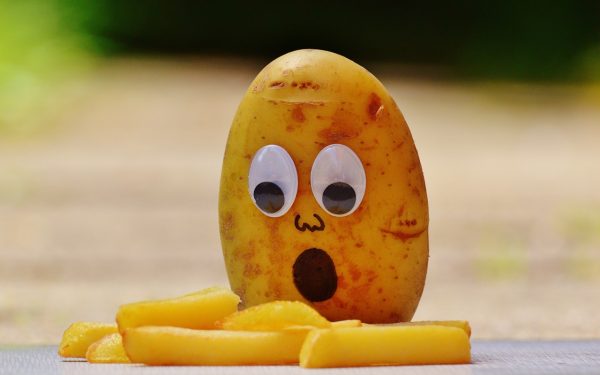 Potato is king of food
